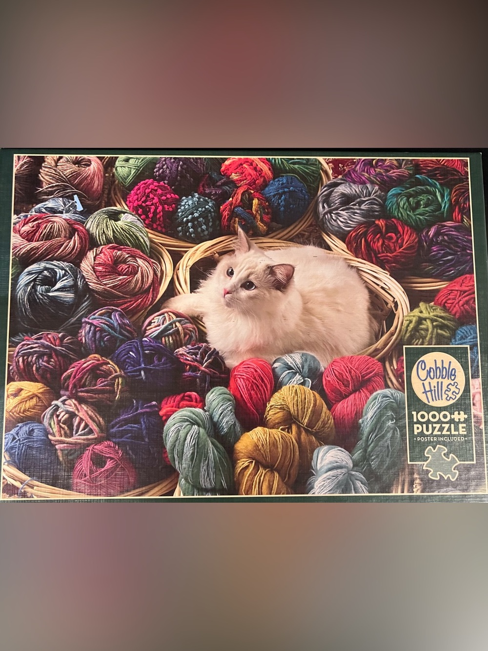 Cobble Hill Puzzle
